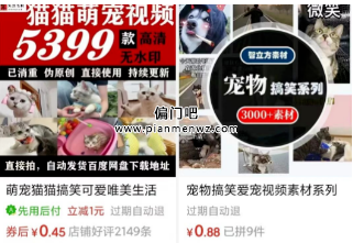 新手如何月入3万+？揭秘自媒体萌宠搞笑视频变现秘籍